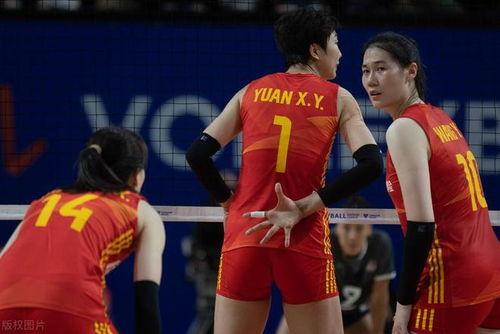 最新爆料李盈莹事件,揭秘背后真相与影响 第2张 最新爆料李盈莹事件,揭秘背后真相与影响 第2张